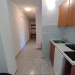 Mato