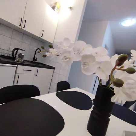 Mato Apartamento Orebić